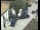 Webcam in Pettoranello del Molise, 27.6 km