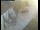 Webcam in Pettoranello del Molise, 47.5 km entfernt