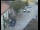 Webcam in Pettoranello del Molise, 4.6 mi away