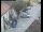 Webcam in Pettoranello del Molise, 0 km entfernt