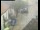 Webcam in Pettoranello del Molise, 14.8 mi away