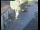 Webcam in Pettoranello del Molise, 15.8 km