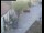 Webcam in Pettoranello del Molise, 8.6 km