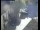 Webcam in Pettoranello del Molise, 4.5 km entfernt