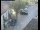 Webcam in Pettoranello del Molise, 71.7 km entfernt
