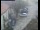 Webcam in Pettoranello del Molise, 15.5 km