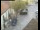 Webcam in Pettoranello del Molise, 27.6 km