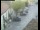 Webcam in Pettoranello del Molise, 12.7 mi away