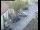 Webcam in Pettoranello del Molise, 39.3 km entfernt