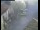 Webcam in Pettoranello del Molise, 39.3 km entfernt