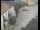Webcam in Pettoranello del Molise, 47.5 km