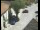 Webcam in Pettoranello del Molise, 19.3 km
