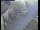 Webcam in Pettoranello del Molise, 49.9 km
