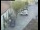 Webcam in Pettoranello del Molise, 19.2 km entfernt