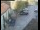 Webcam in Pettoranello del Molise, 19 km