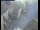 Webcam in Pettoranello del Molise, 30 km