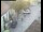 Webcam in Pettoranello del Molise, 39.3 km entfernt