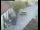 Webcam in Pettoranello del Molise, 0 km entfernt