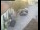 Webcam in Pettoranello del Molise, 18.3 mi away