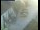 Webcam in Pettoranello del Molise, 5.7 mi away