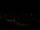 Webcam in Amsterdam, 0.1 mi away