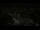 Webcam in Amsterdam, 0.2 mi away