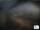 Webcam in Manarola (Cinque Terre), 5.1 km entfernt