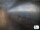 Webcam in Manarola (Cinque Terre), 14.7 km entfernt