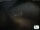 Webcam in Manarola (Cinque Terre), 21 km