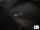 Webcam in Manarola (Cinque Terre), 0.3 mi away