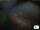 Webcam in Manarola (Cinque Terre), 11.8 km
