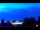 Webcam in Lomazzo, 13.8 km entfernt