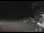 Webcam in Zoagli, 3 mi away