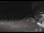 Webcam in Zoagli, 4.4 km entfernt