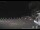 Webcam in Zoagli, 1.4 mi away