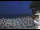 Webcam in Zoagli, 0.5 km
