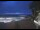 Webcam in Zoagli, 4 km