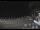 Webcam in Zoagli, 16.2 km