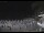 Webcam in Zoagli, 5.5 km
