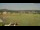 Webcam in Gelnhausen, 46.4 km