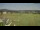 Webcam in Gelnhausen, 16.8 km