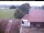 Webcam in Hunderdorf, 48.9 km