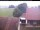 Webcam in Hunderdorf, 30.7 km
