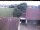 Webcam in Hunderdorf, 16.8 km