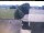 Webcam in Hunderdorf, 12.1 mi away
