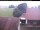 Webcam in Hunderdorf, 4.5 km
