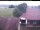 Webcam in Hunderdorf, 9 km