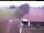 Webcam in Hunderdorf, 2.1 km