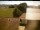 Webcam in Hunderdorf, 30.5 km entfernt