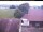 Webcam in Hunderdorf, 13.3 km